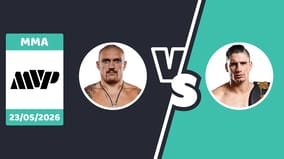Pronostic usyk vs verhoeven
